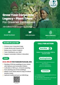 Dzikwa Trust Corporate Tree Planting Flyer